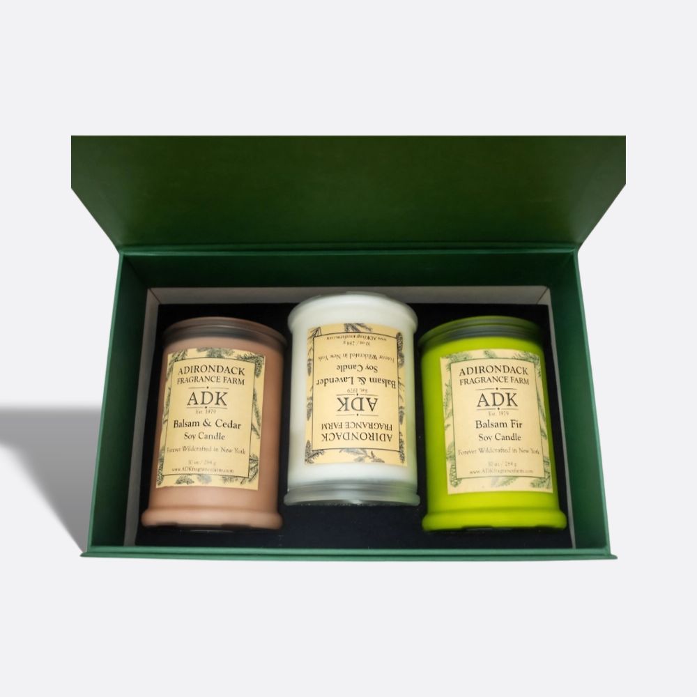 Classic Balsam Candle Set 3x10 oz